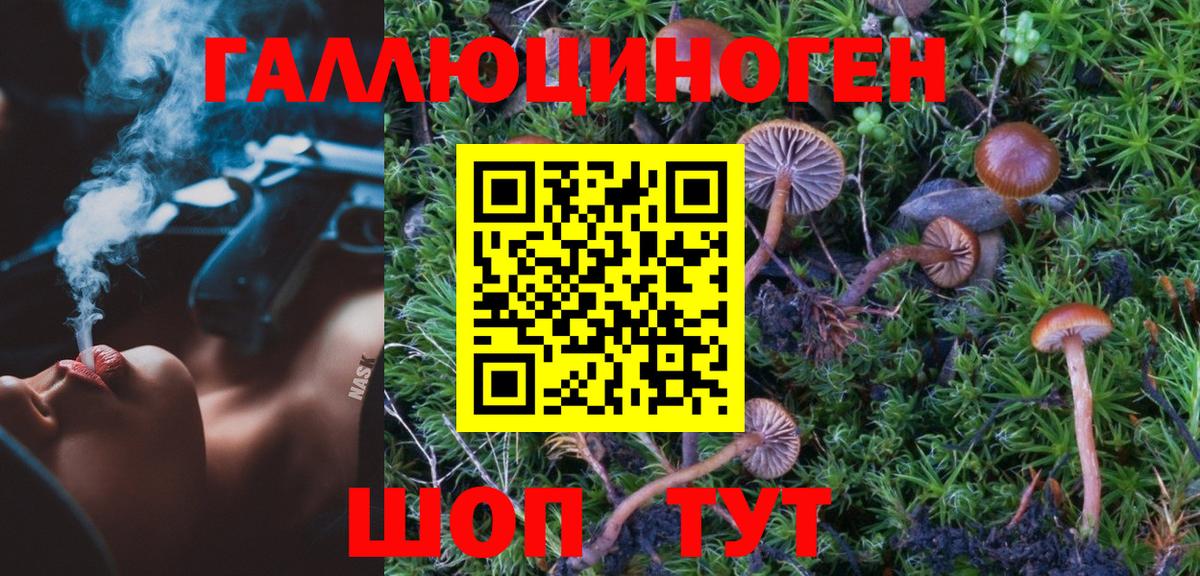 Чехов  Галлюциногенные грибы мицелий  Галлюциногенные грибы мицелий  Вход с VPN 